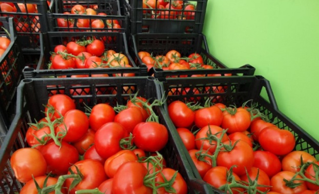 Само 2% от доматите са български