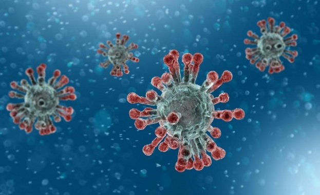 Учени обявиха, че са открили ваксина срещу коронавируса 