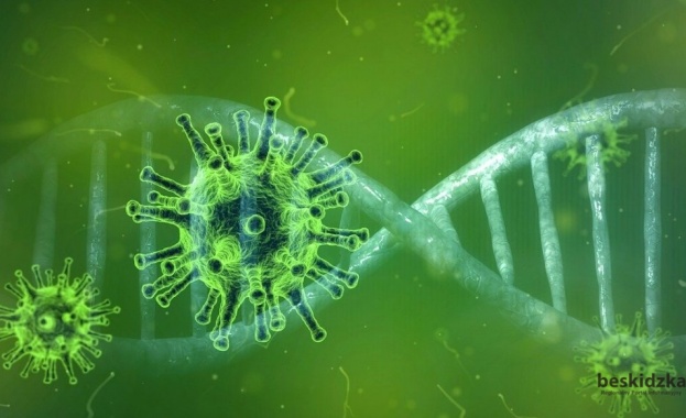Учени: Антителата срещу коронавируса изчезват до 3 месеца