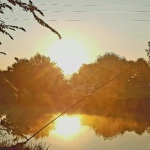 С древен орфически ритуал, предаван онлайн посрещнат Деня на лятното слънцестоене 