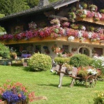 Почивка на село: Ръст в наемането на къщи в Благоевградско