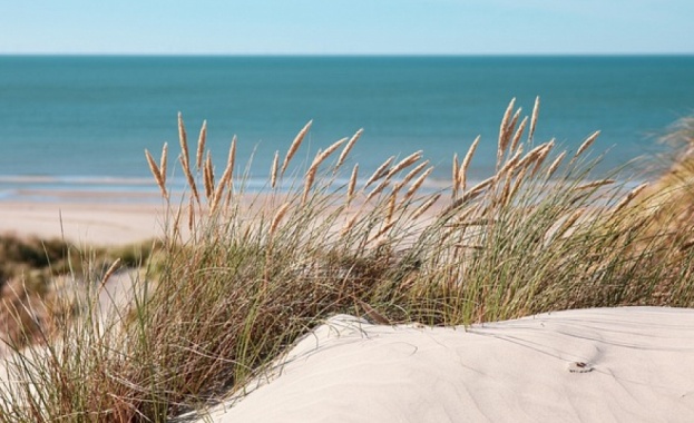 Правителството определи концесионери на два морски плажа Лозенец в