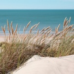 Плажовете „Лозенец“ и „Шкорпиловци - централен“ имат нови концесионери