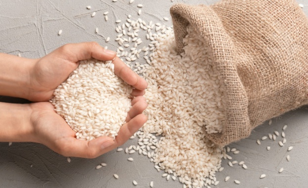 Изобилните запаси на ориз на някои ключови износители може до