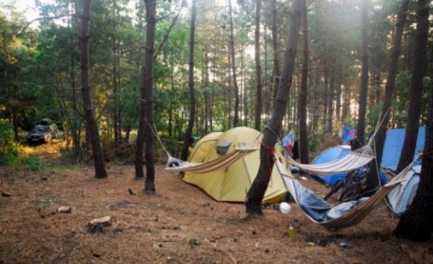 Дърво падна върху палатка в района на Рилския манастир и
