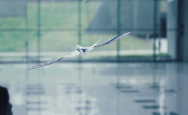 Отдалече прилича на истинска птица но ако я доближите ще