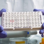 Туристите от Кралство Нидерландия ще влизат на територията на страната с PCR тест