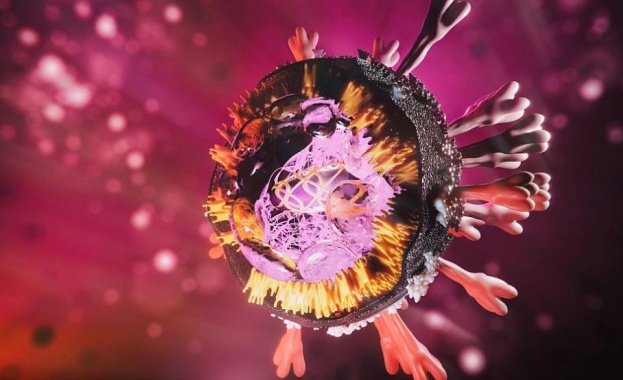 176 са новодиагностицираните с COVID 19 лица през последното денонощие 5877