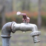 Инвазивно растение лишило етиопците от големи количества прясна вода