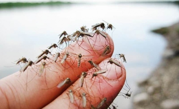 Гражданите на Силистра питат кмета: От къде идва миризмата в града?