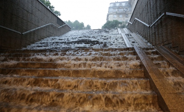 Сигнали за паднали дървета и клони след гръмотевичната буря придружена