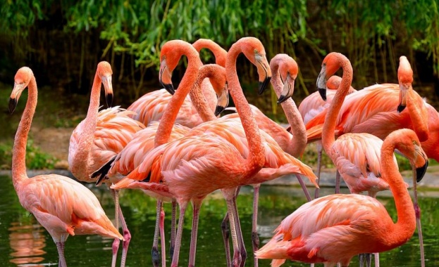 Предпазливостта често е препоръчителна особено когато харчите откраднати пари Но