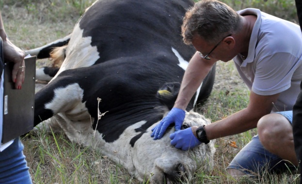 Българска агенция по безопасност на храните БАБХ взе проби от