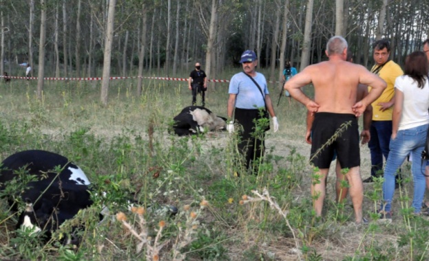 Днес трябва да излязат пробите на водите на река Марица