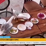 Мизерия в хотел в Царево вместо 4-звезден лукс по Черноморието