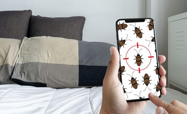 Дървениците са малки кръвосмучещи насекоми които се хранят с кръвта