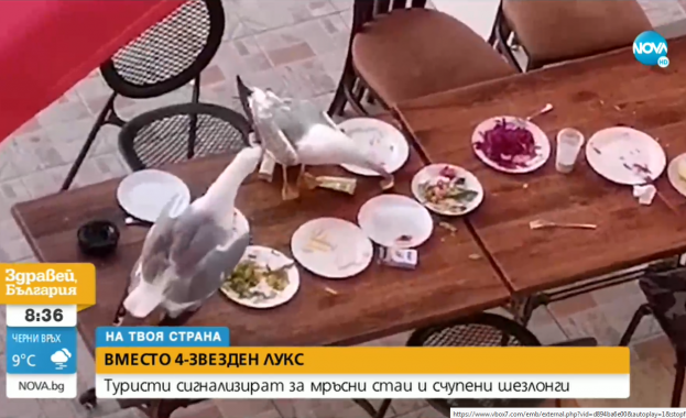 Зрители на NOVA сигнализираха за мизерия в хотел вместо обещания