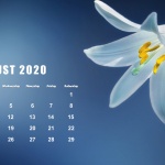 Предстоящи събития в страната за 18 август