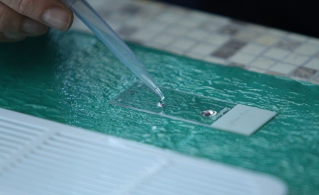 Медици в Бурятия откриха начин за диагностициране на пневмония включително