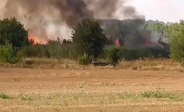 Пожарът край Лесово прехвърли Тунджа, огънят обхвана над 8000 декара площ 