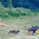  Глиган открадна лаптопа на нудист 