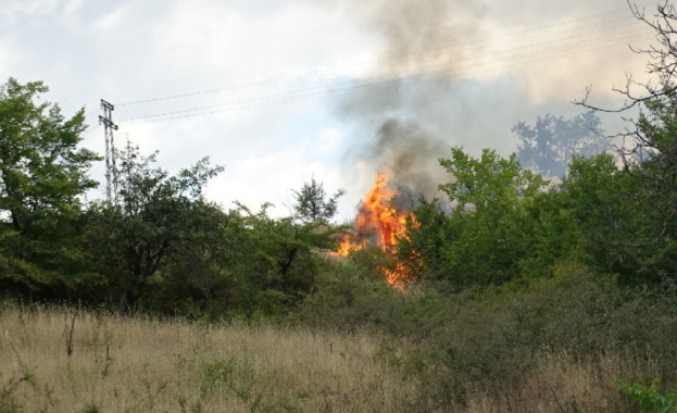 Бедствено положение в Свиленград заради огромен пожар 