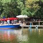 Два мъртви елена са намерени край Ропотамо 