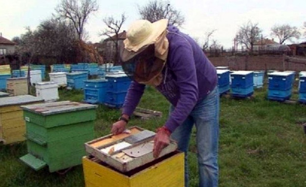 Животновъдите и пчеларите могат да кандидатстват за финансово подпомагане по