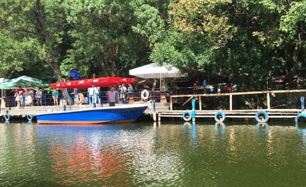 Два мъртви елена са намерени край река Ропотамо На животните