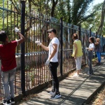 Доброволчески инициативи в Ямбол по повод Международния ден на младежта