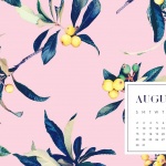 Предстоящи събития в страната на 30 август