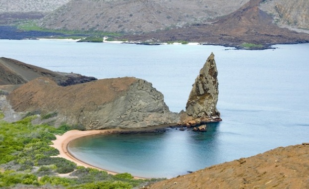 Международен екип от учени са открили 30 нови вида безгръбначни