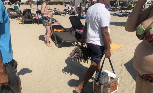 Сушена риба и други екзотични предложения замениха традиционните семки по