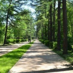 Любопитни факти за някои малки държави в света