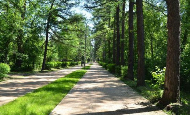 Площта на най големия московски парк Соколники на снимката е малко
