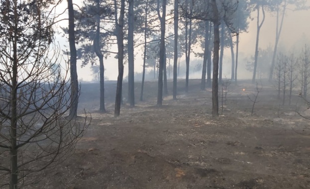 Голям пожар лумна между свиленградските села Левка Студена и Дервишка