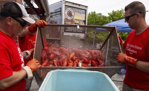Омарите помогнаха да бъде направена важна стъпка към подобряване на