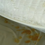 Мизерия и дървеници за 90 лева на вечер в хотел в Черноморец