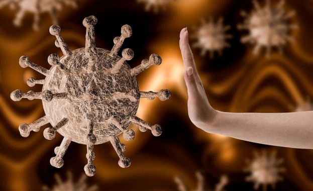 Витаминът В12 може да спре клетъчното делене на новия короанвирус