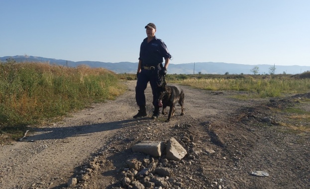 Подновяват търсенето на изчезналия на 31 юли дупничанин Янек Миланов