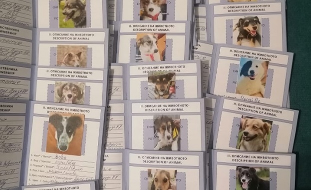 22 кучета от приютите на Екоравновесие заминаха тази сутрин за