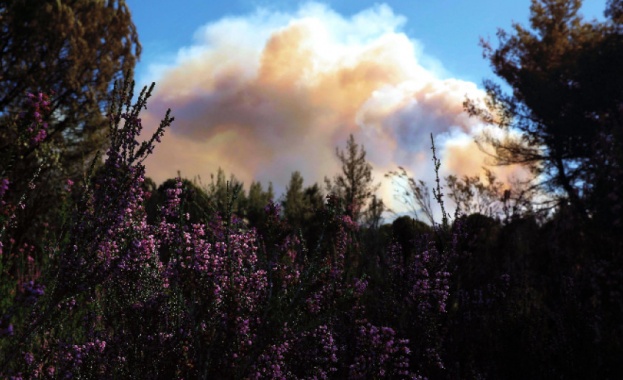 Мащабни сили на пожарната в Гърция от няколко часа се