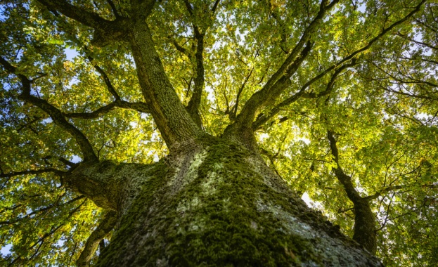 Историята на климата на слънчевата активност и човешкото въздействие върху