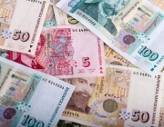 Българи капсулират левовете за вечни времена в рамка и албум