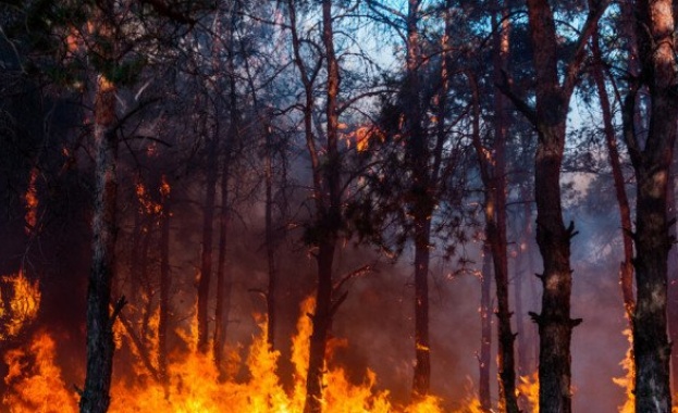 Все още не са угасени пожарите в Хасковско и Старозагорско 