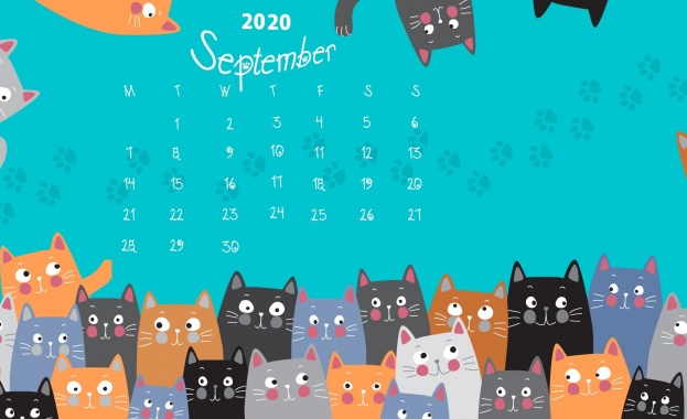 Предстоящи събития в страната за 21 септември