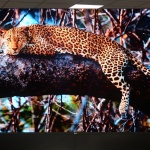 Първият Микро LED ДИСПЛЕЙ на LG поставя нов стандарт в пазара на дисплейните технологии