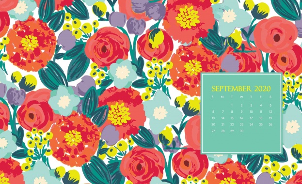 Предстоящи събития в страната за 11 септември