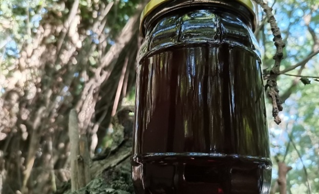 Странджанският манов мед който е с доказани свойства за лечение