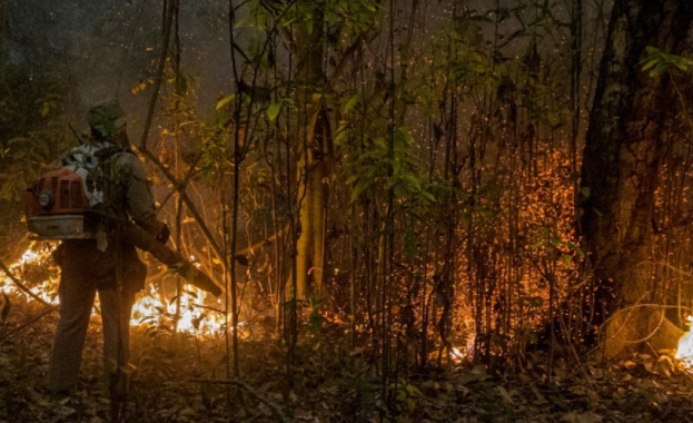 Бразилия обяви извънредно положение заради пожари в най-големите тресавища в света 